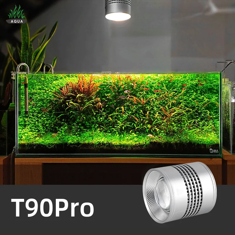 Aquarium Plant Not Growing - Semana Aqua T Series T90 Pro