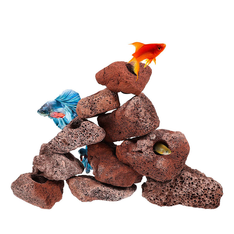 Planted Aquarium With Rocks - Agujero abierto, roca, pescado, camarones, refugio,