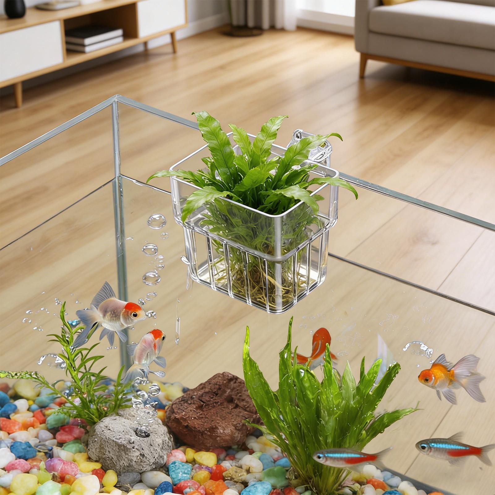 Aquarium Plant Rings - Maceta Transparente Colgante para Plantas de