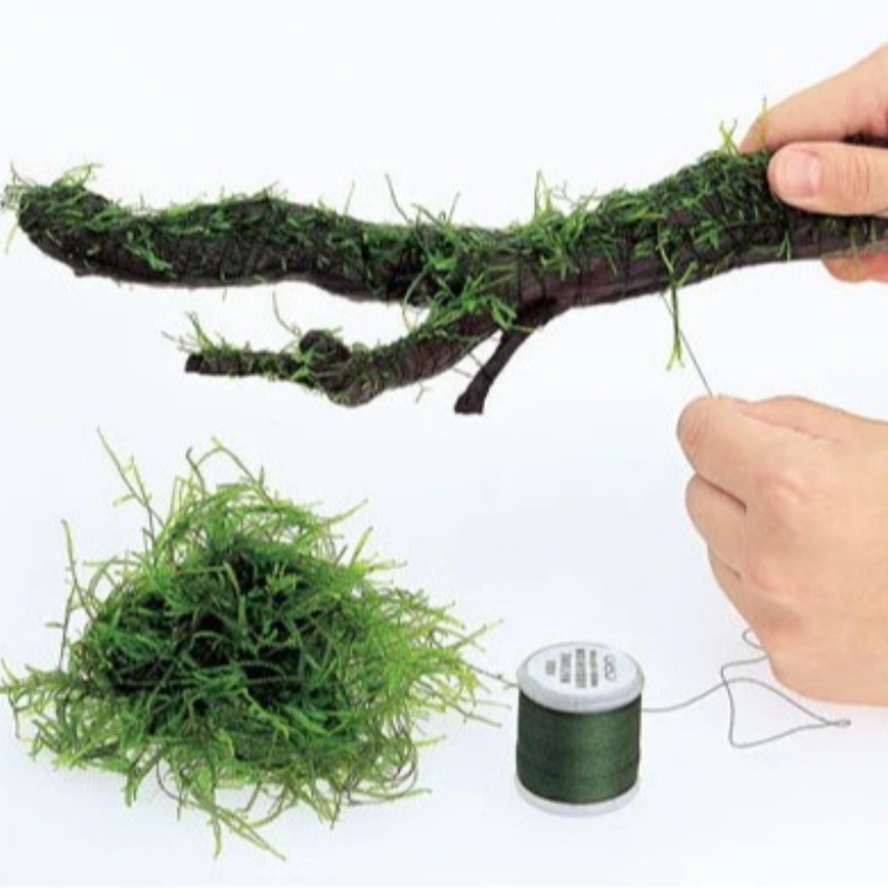 Planted Aquarium With Rocks - Hilo de Musgo Biodegradable para Acuarios,