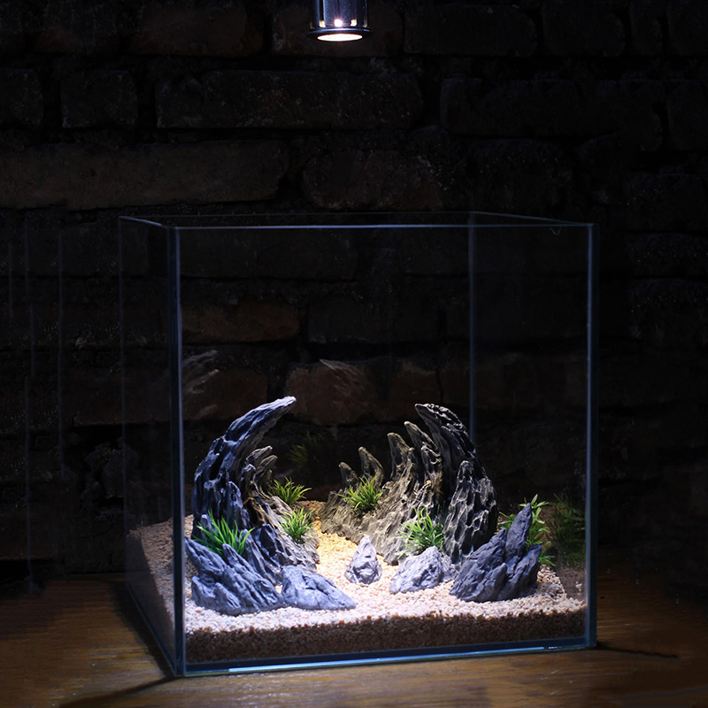 Planted Aquarium With Rocks - Piedras de paisajismo de cañón de
