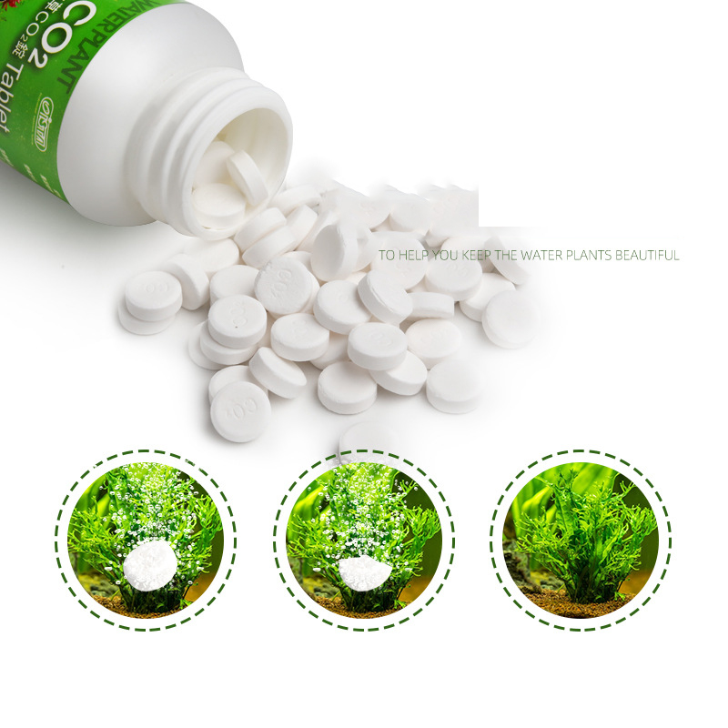 ISTA-Tableta de CO2 para acuar - Planted Aquarium Without Fish reseña y precio