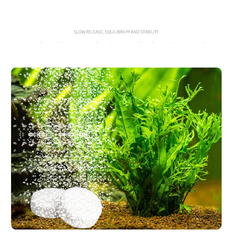 ISTA-Tableta de CO2 para acuar - Planted Aquarium Without Fish reseña y precio