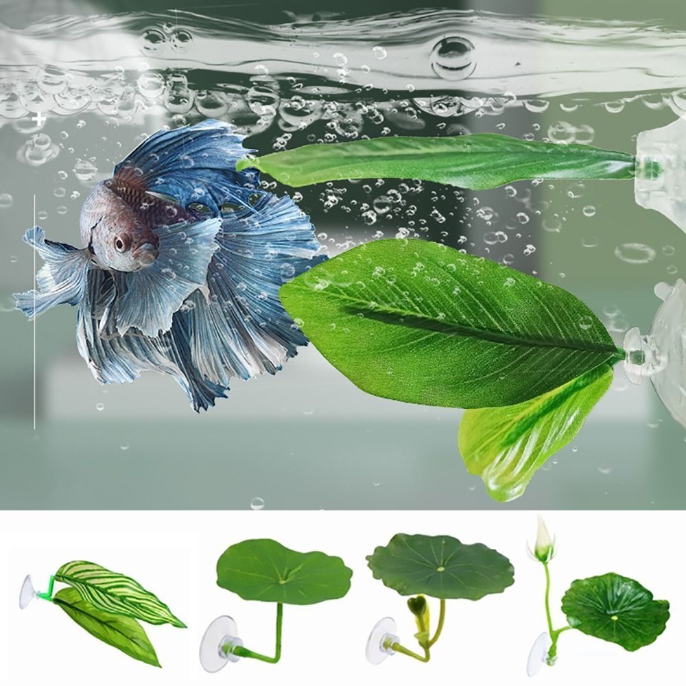 Hoja de descanso de pescado Be - Aquarium Plant Rings reseña y precio