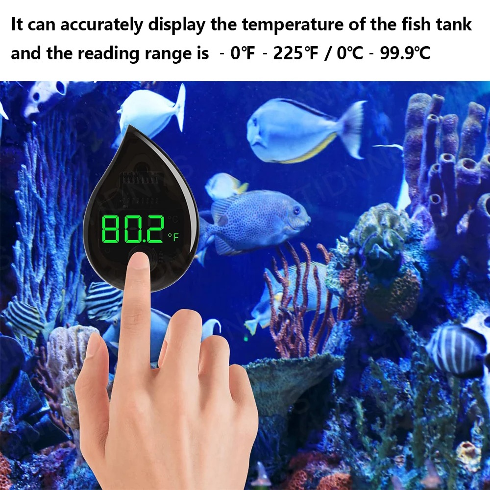 Termómetro Autoadhesivo para A - Planted Aquarium Temperature reseña y precio