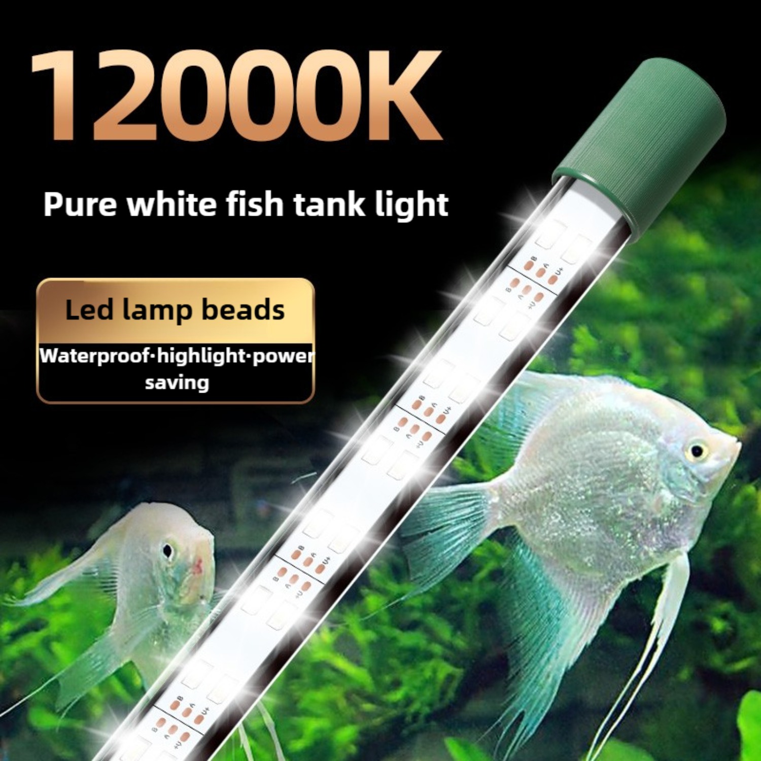 Tubo de Luz LED para Acuario d - Planted Aquarium Freshwater reseña y precio