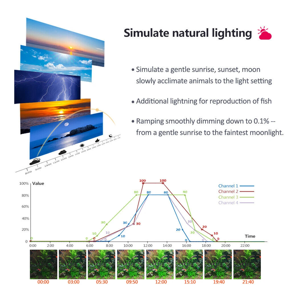 PopBloom Luz de acuario planta - Planted Aquarium Freshwater reseña y precio