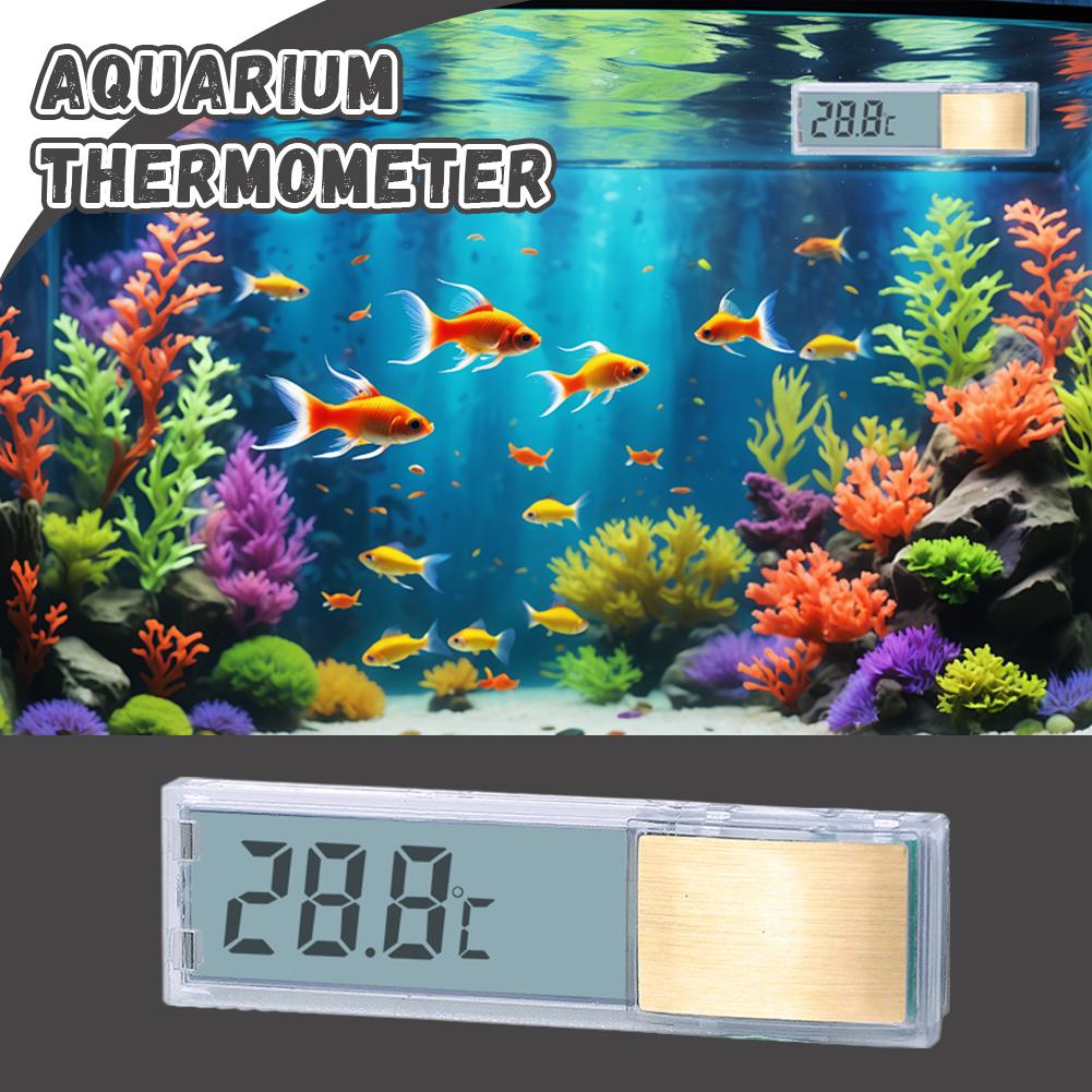 Termómetro de acuario electrón - Planted Aquarium Temperature reseña y precio