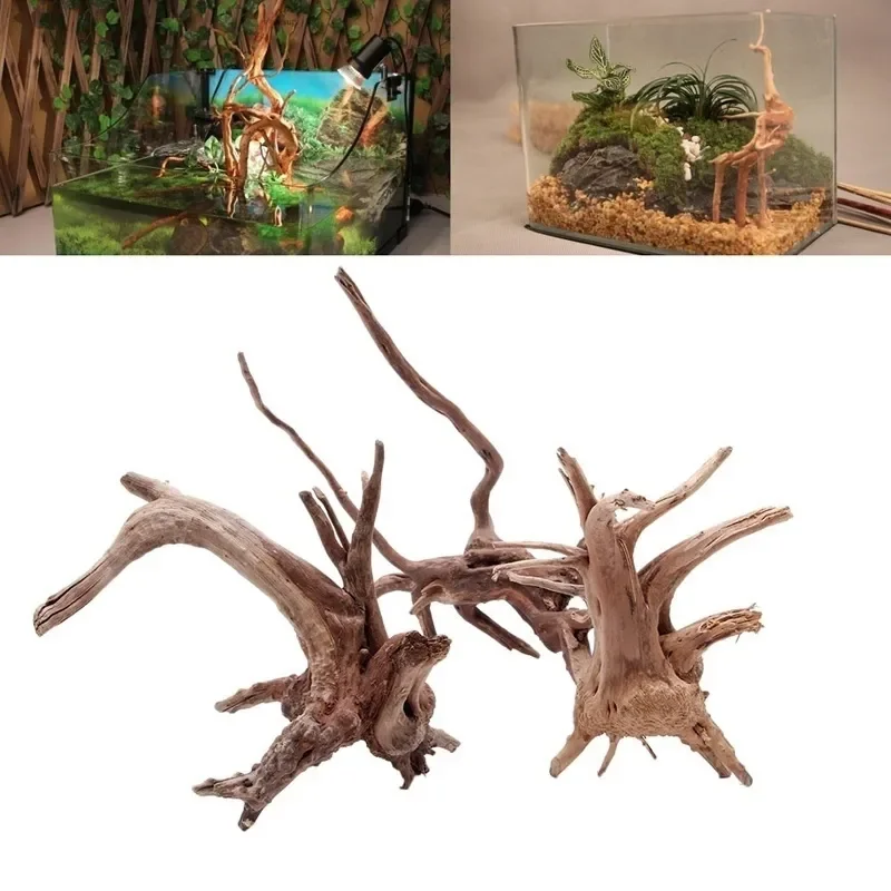Tronco de árbol Natural de mad - Aquarium Plant Rings reseña y precio