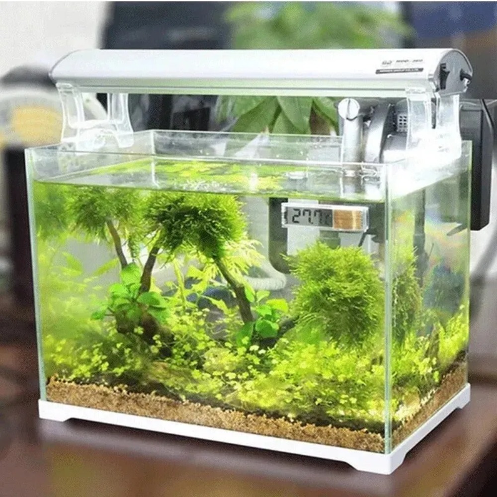 Termómetro de acuario electrón - Planted Aquarium Temperature reseña y precio