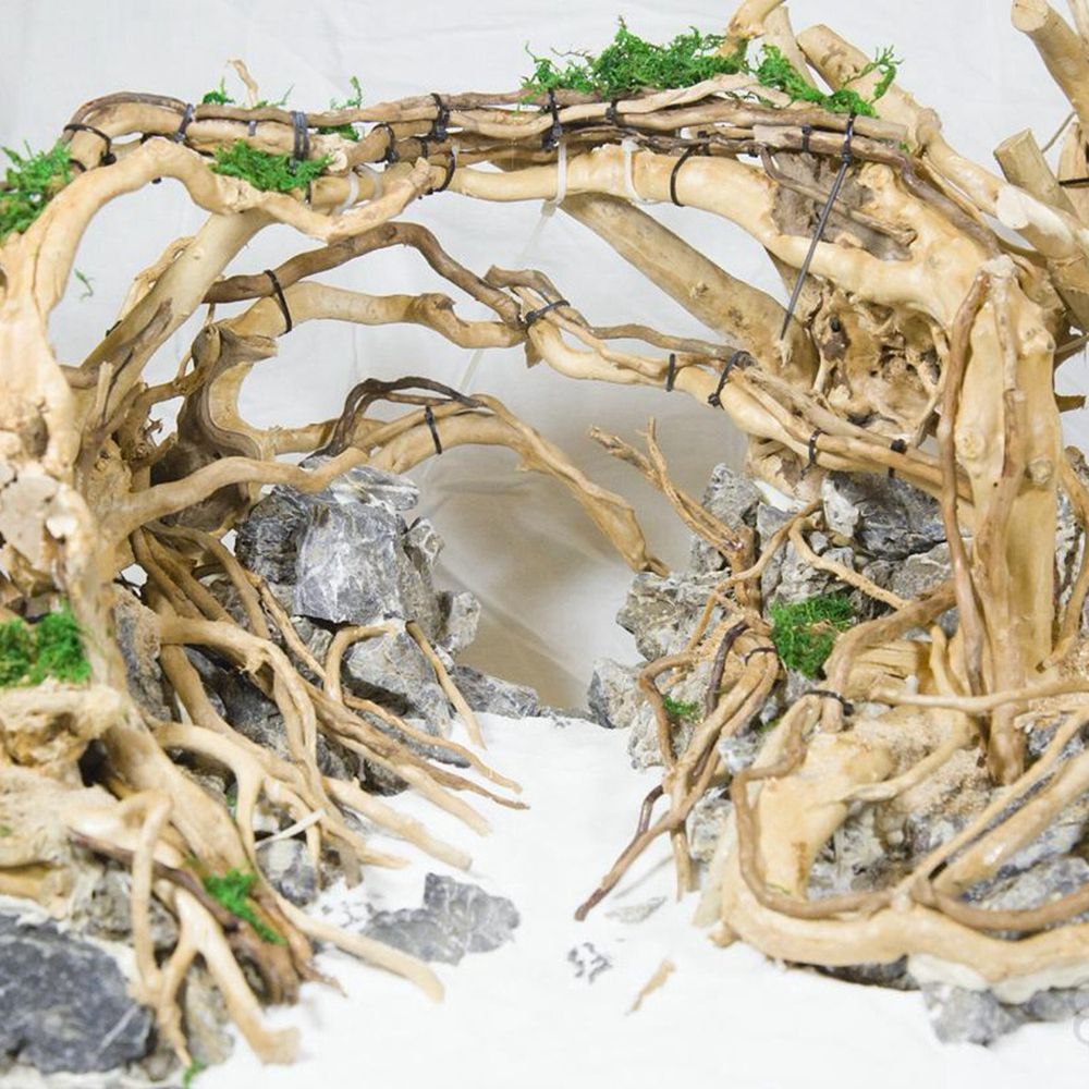 Tronco de madera N1N para terr - Aquarium Plant Rings reseña y precio
