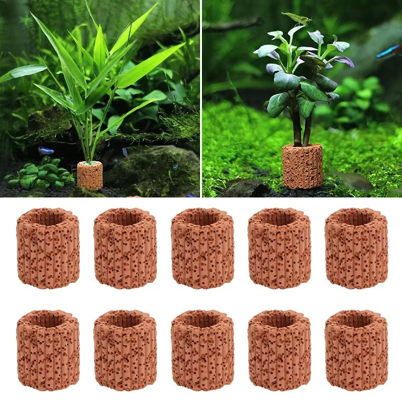 Anillo fijo para plantas acuát - Aquarium Plant Rings reseña y precio