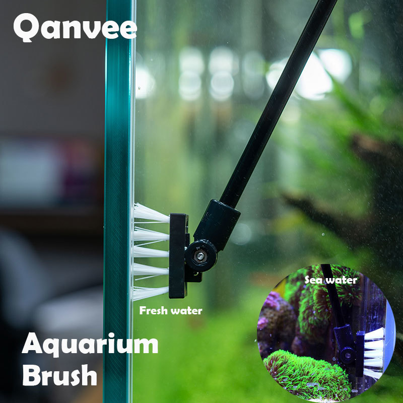 Cepillo de limpieza de pesca,  - Planted Aquarium Freshwater reseña y precio