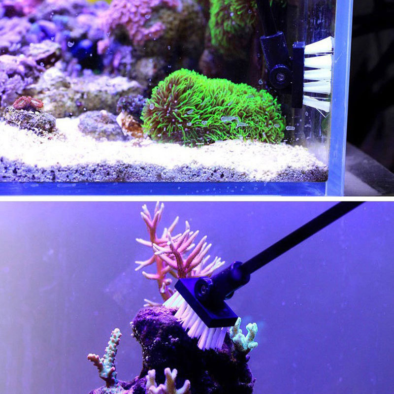 Cepillo de limpieza de pesca,  - Planted Aquarium Freshwater reseña y precio