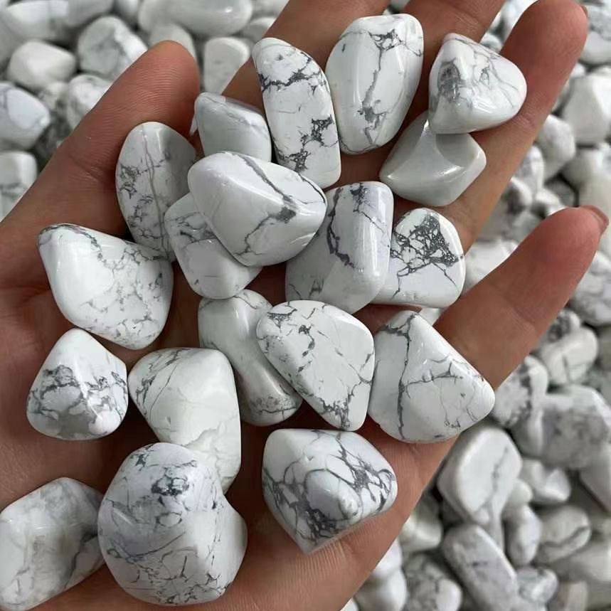 Turquesa Blanca Natural, Piedr - Planted Aquarium With Rocks reseña y precio