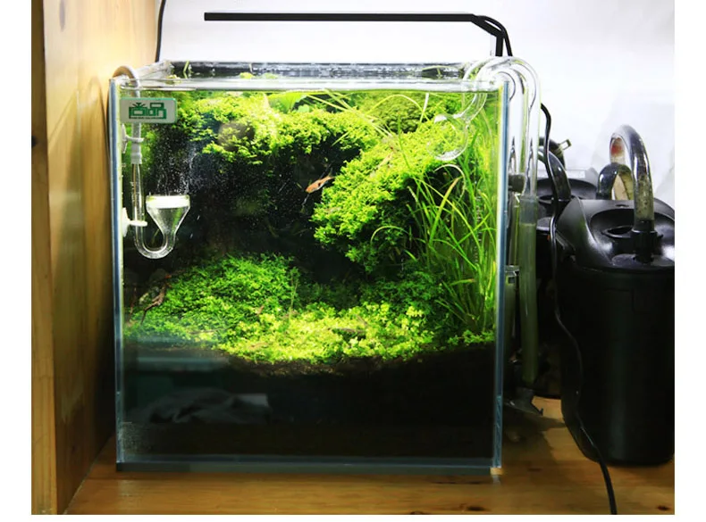 Chihiros Serie C Planta estilo - Aquarium Plant Diseases reseña y precio