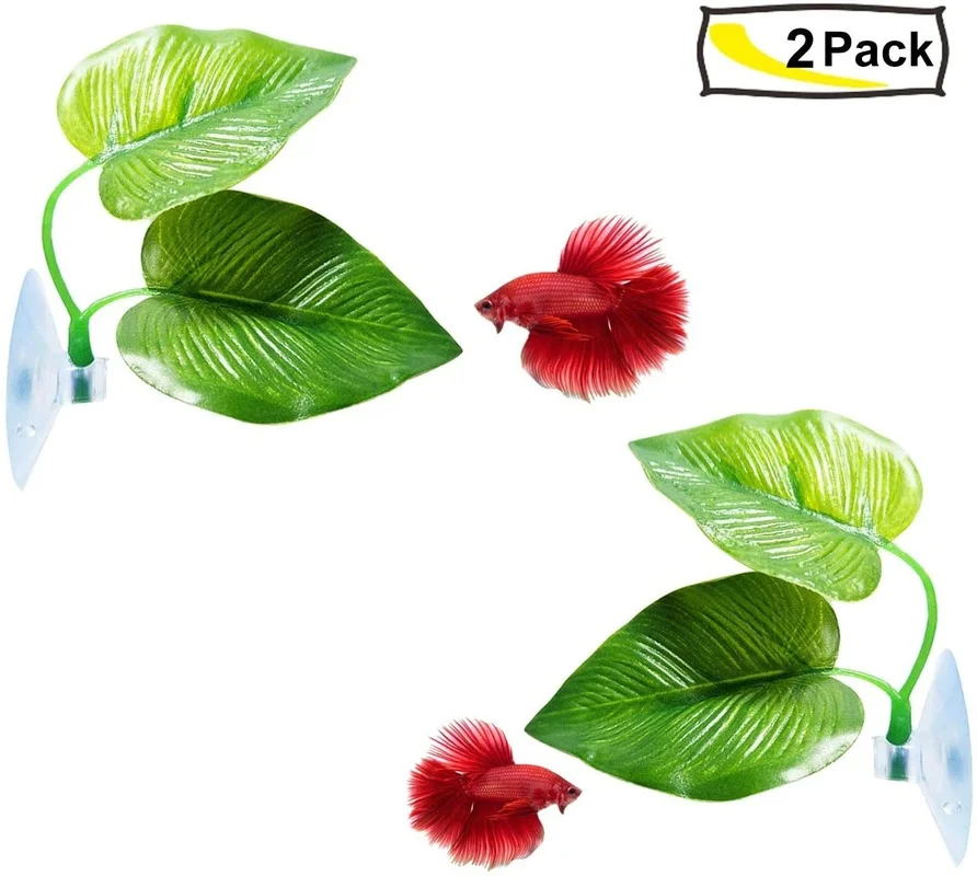 Hamaca de hojas de pescado Bet - Aquarium Plant Rings reseña y precio