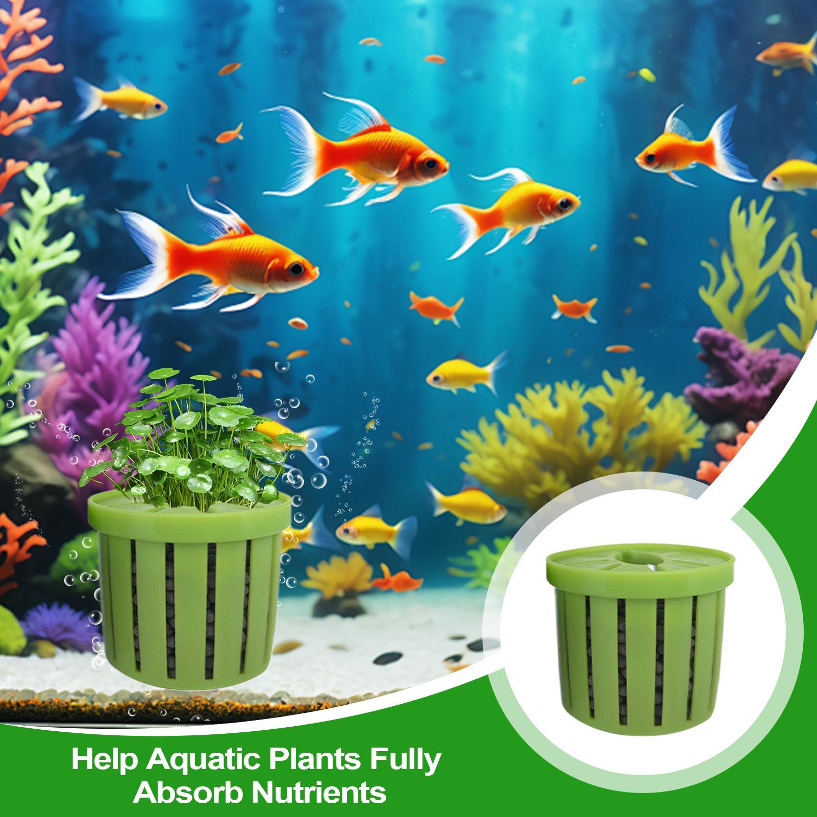 Maceta para acuario de 4 pieza - Aquarium Plant Rings reseña y precio