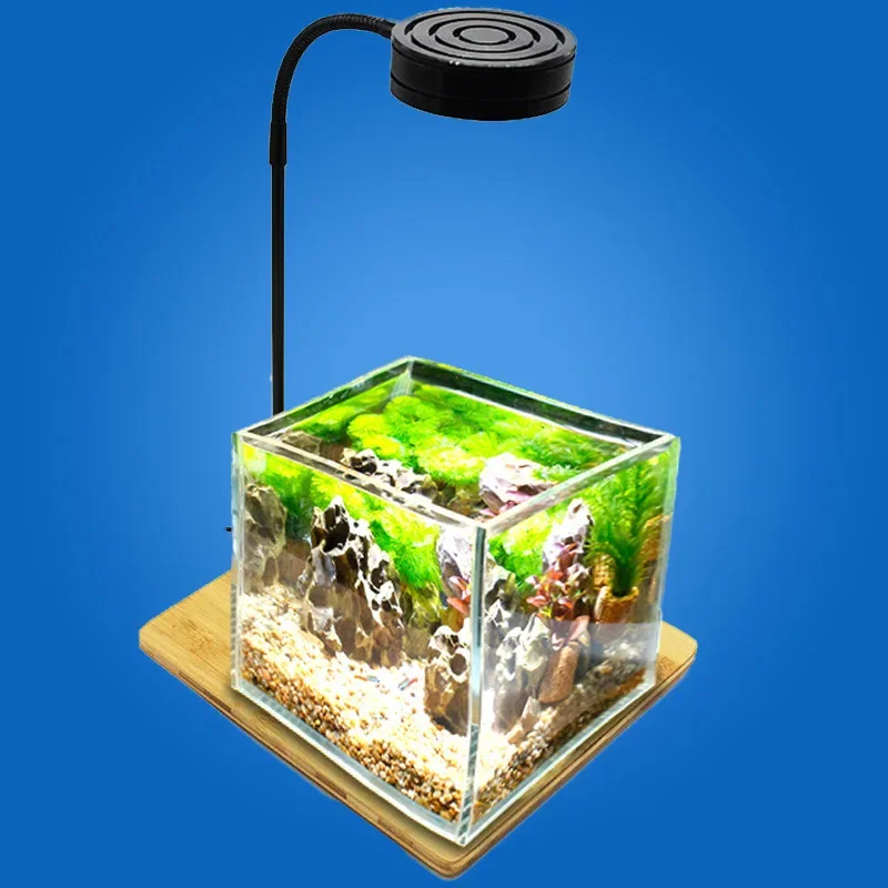 Mini luz LED para acuario con  - Planted Aquarium Freshwater reseña y precio