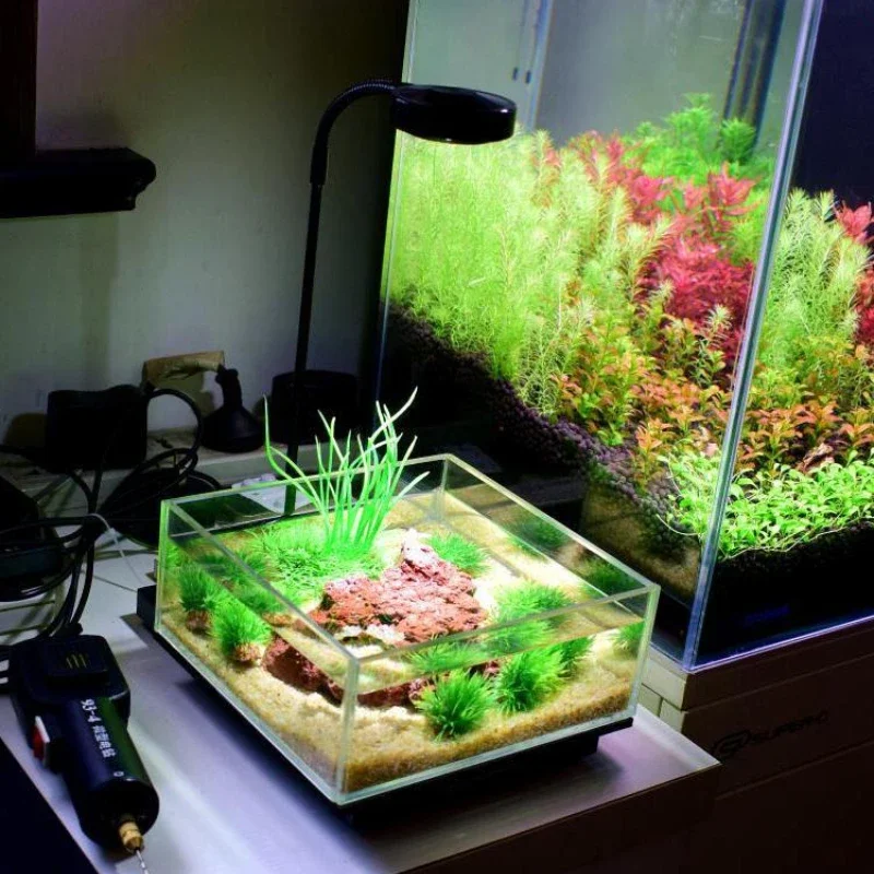 Mini luz LED para acuario con  - Planted Aquarium Freshwater reseña y precio