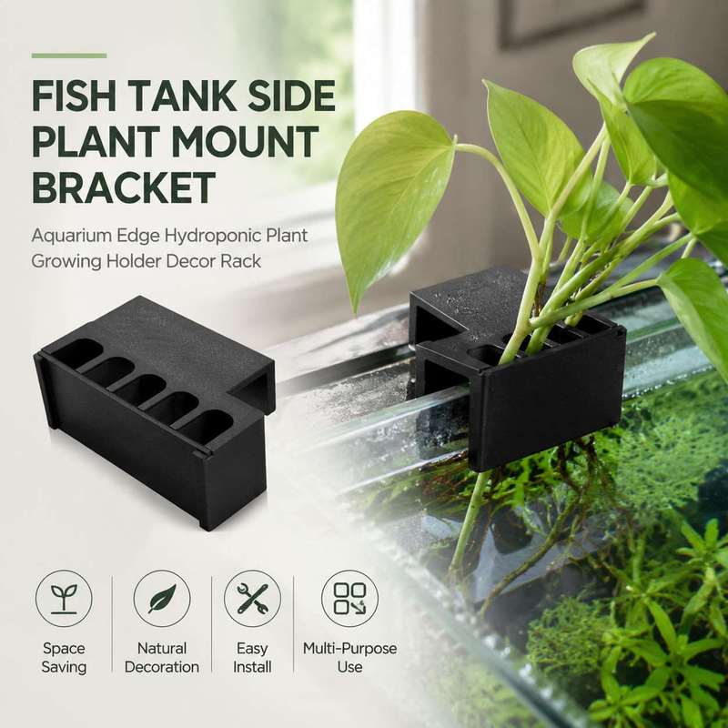 Soporte Lateral para Plantas d - Aquarium Plant Diseases reseña y precio