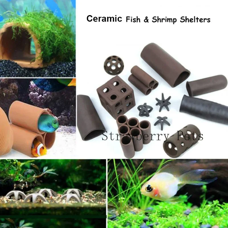 Decoración de acuario de cerám - Aquarium Plant Rings reseña y precio