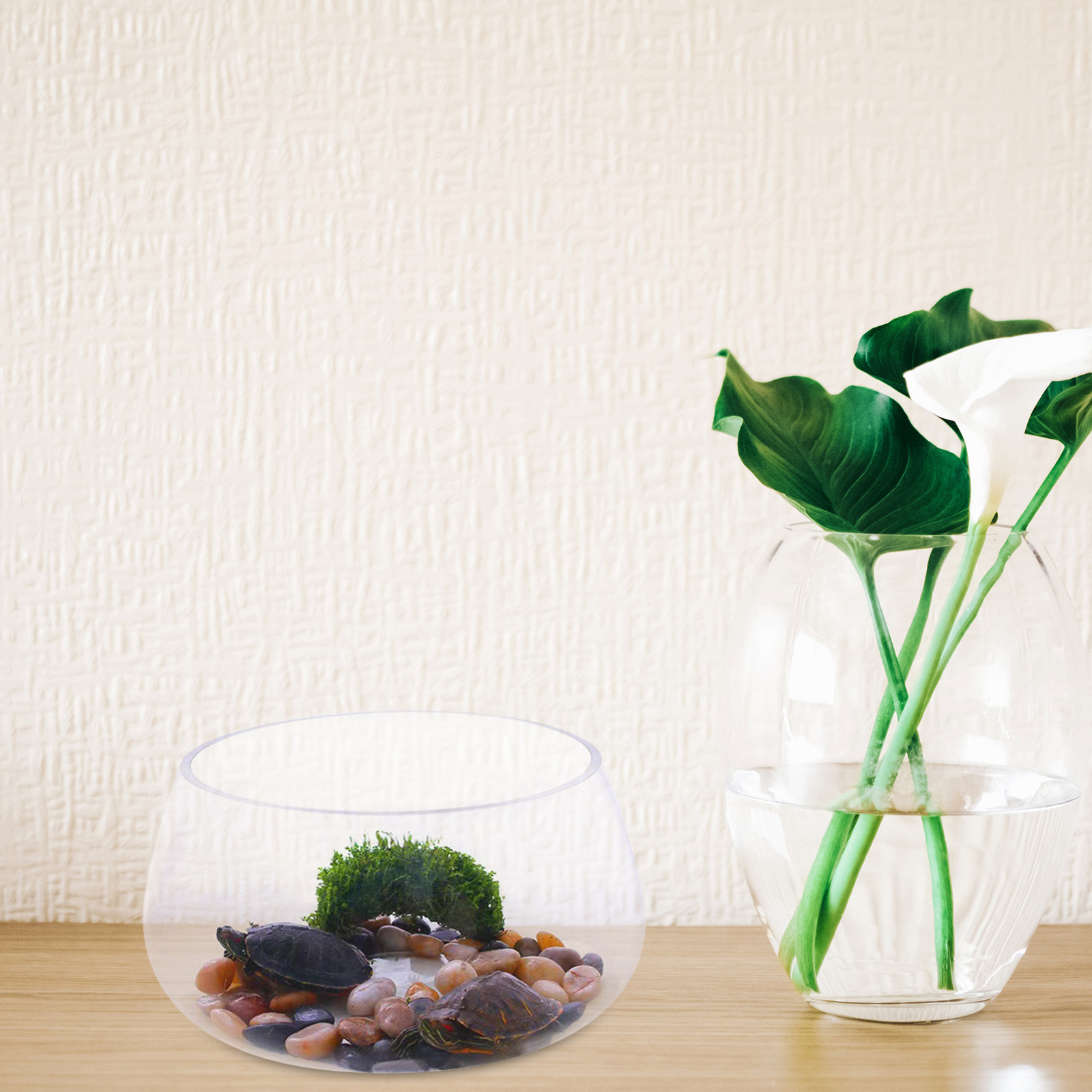 Mini Acuario Redondo de Vidrio - Aquarium Planted Shop reseña y precio