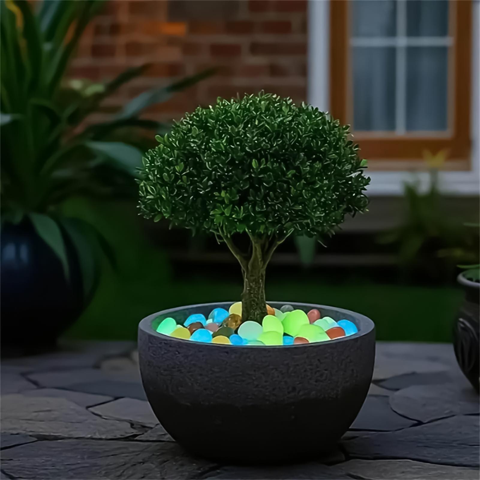 Piedras Decorativas para Jardí - Planted Aquarium With Rocks reseña y precio