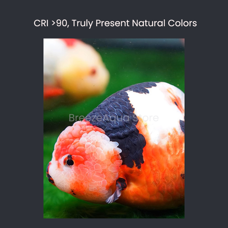 MAYIN Super Color 100W agua du - Planted Aquarium Freshwater reseña y precio