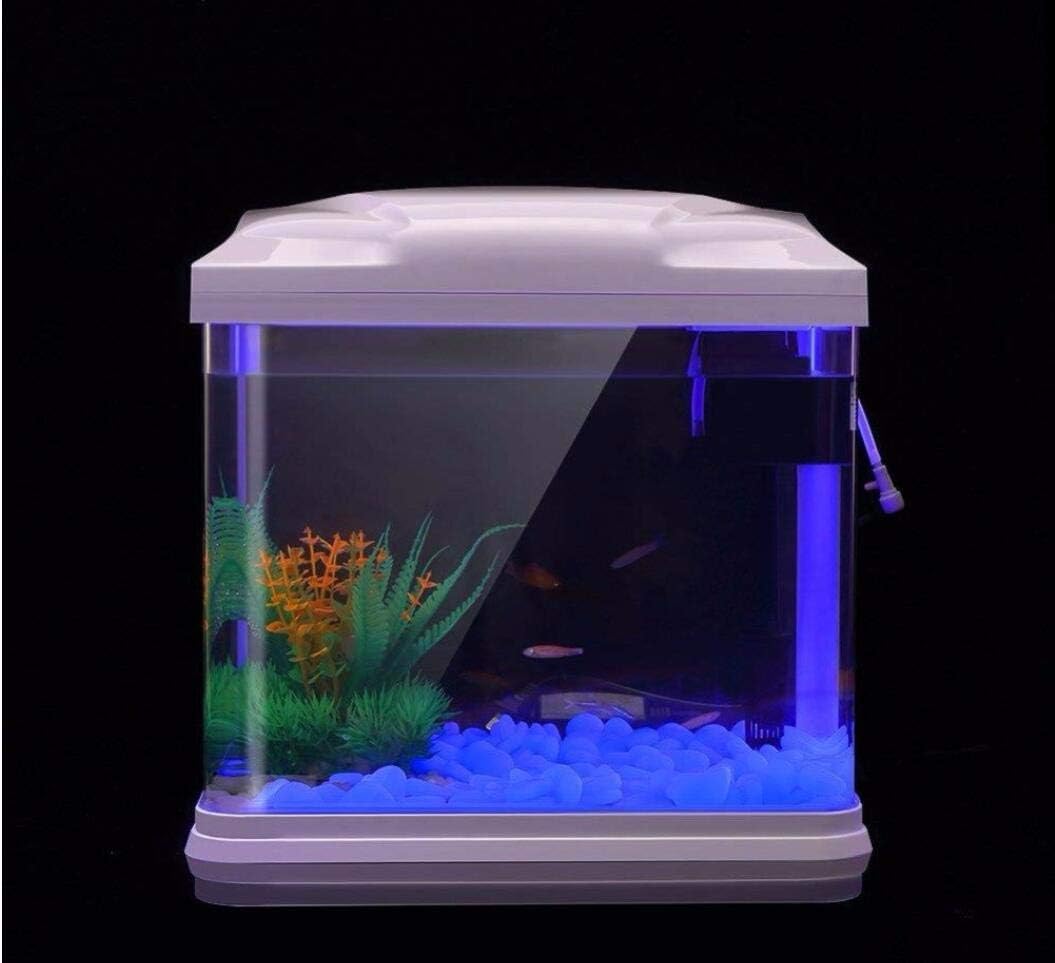 Rocas para pecera, guijarros a - Planted Aquarium With Rocks reseña y precio