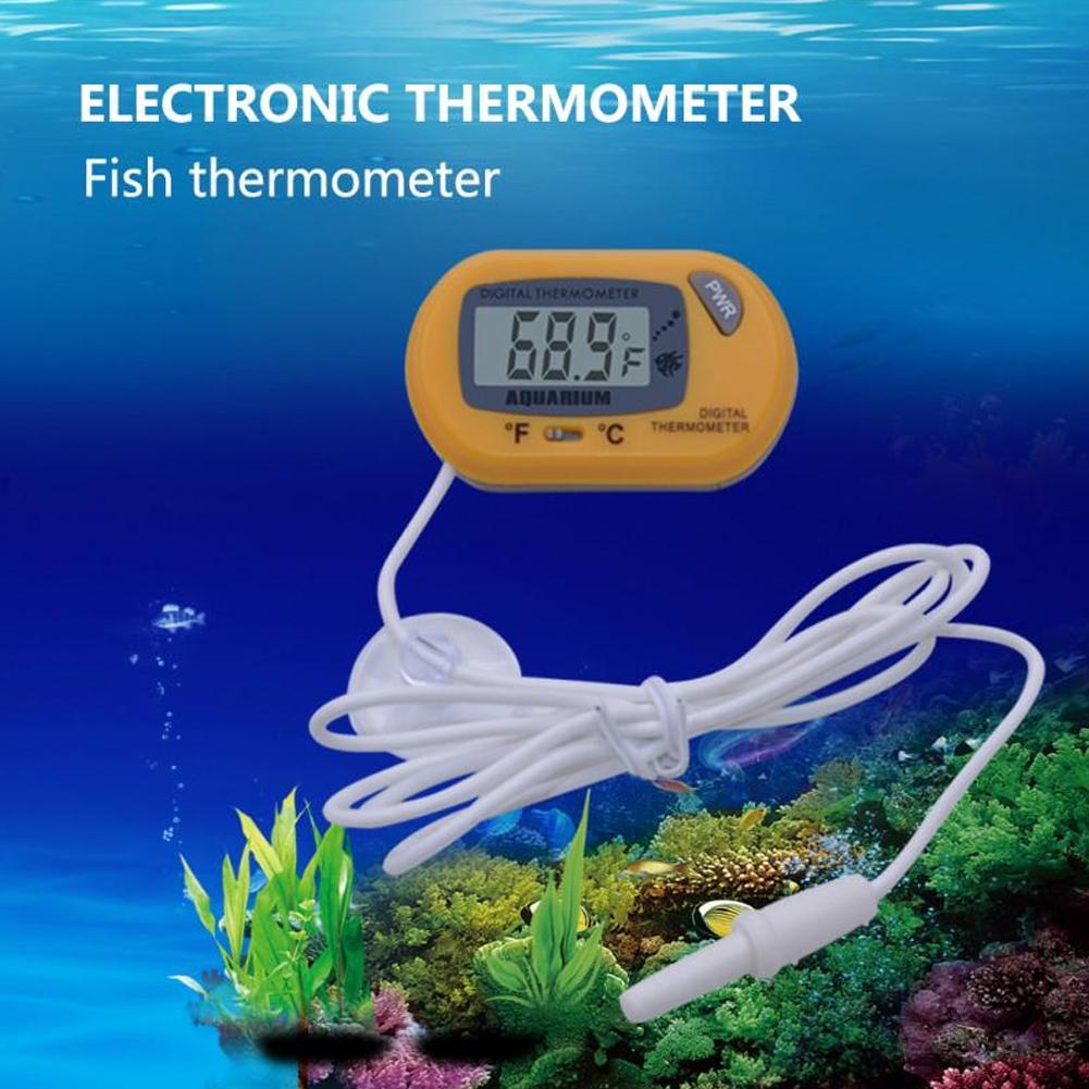 Termómetro para pecera, termóm - Planted Aquarium Temperature reseña y precio