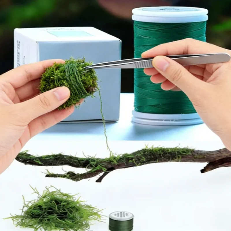 Hilo de Musgo Biodegradable pa - Planted Aquarium With Rocks reseña y precio