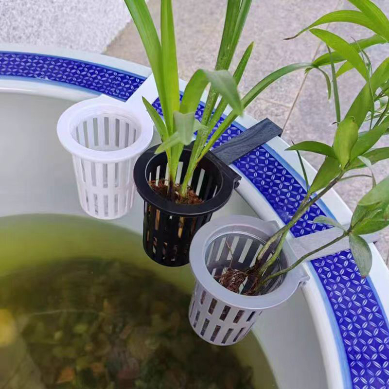 Cesta para plantas de acuario, - Aquarium Plant Rings reseña y precio