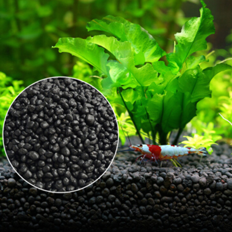 Semillas de plantas de Acuario - Planted Aquarium Freshwater reseña y precio