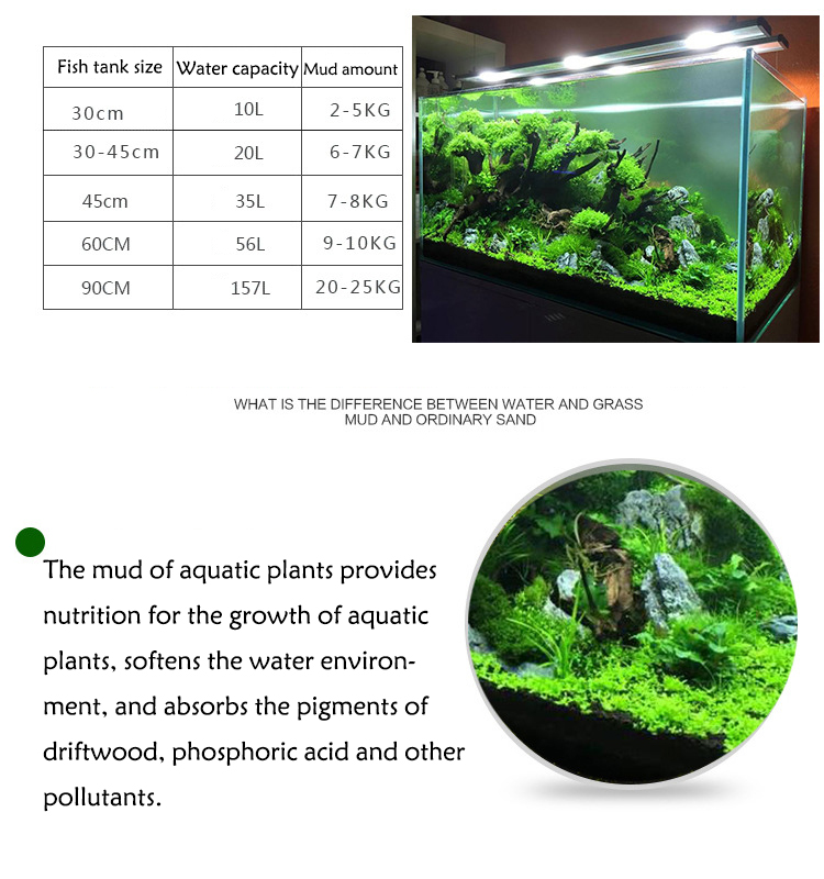 Semillas de plantas de Acuario - Planted Aquarium Freshwater reseña y precio