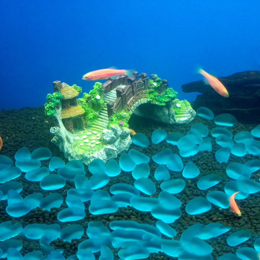 Accesorios para acuario, árbol - Planted Aquarium With Rocks reseña y precio