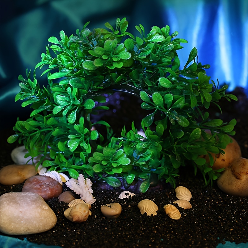 Corona subacuática de plástico - Aquarium Plant Diseases reseña y precio