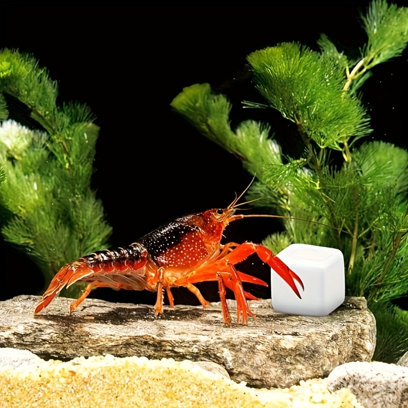 Bloques de calcio para pecera, - Aquarium Plant Rings reseña y precio
