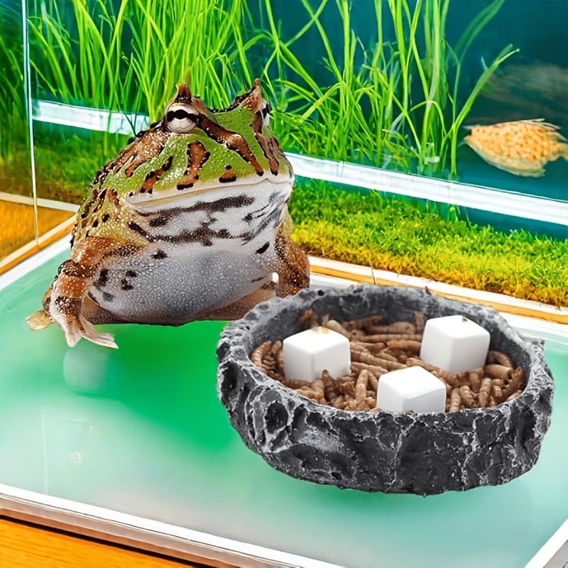 Bloques de calcio para pecera, - Aquarium Plant Rings reseña y precio