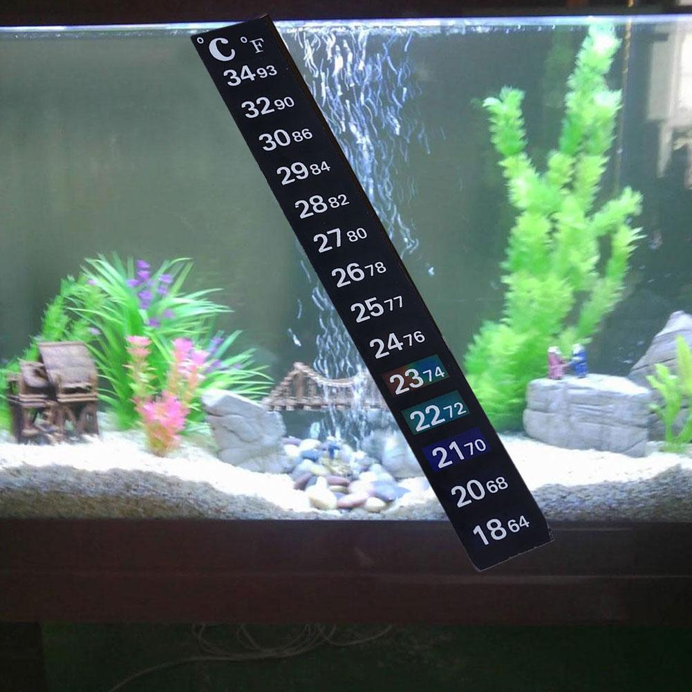 Termómetro Digital adhesivo pa - Planted Aquarium Temperature reseña y precio